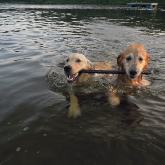 Meet your Posher, Kim - Picture 1 of 1